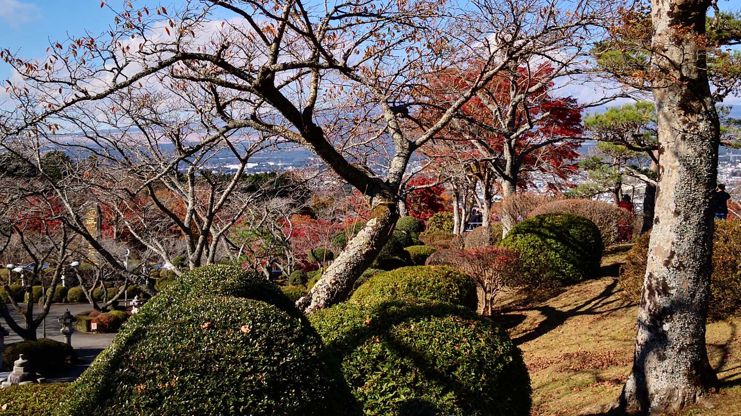 实景花园素材