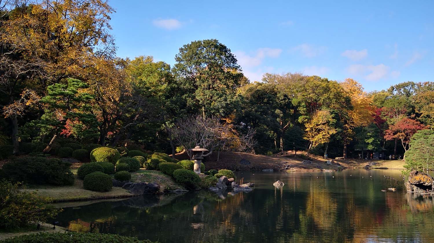 实景市政素材