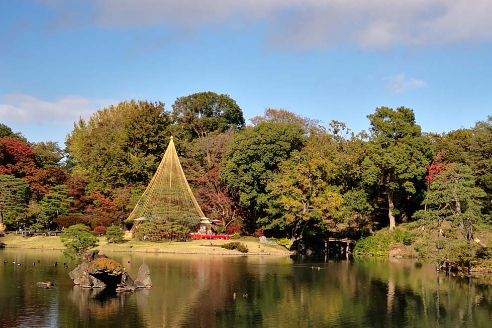 实景市政素材