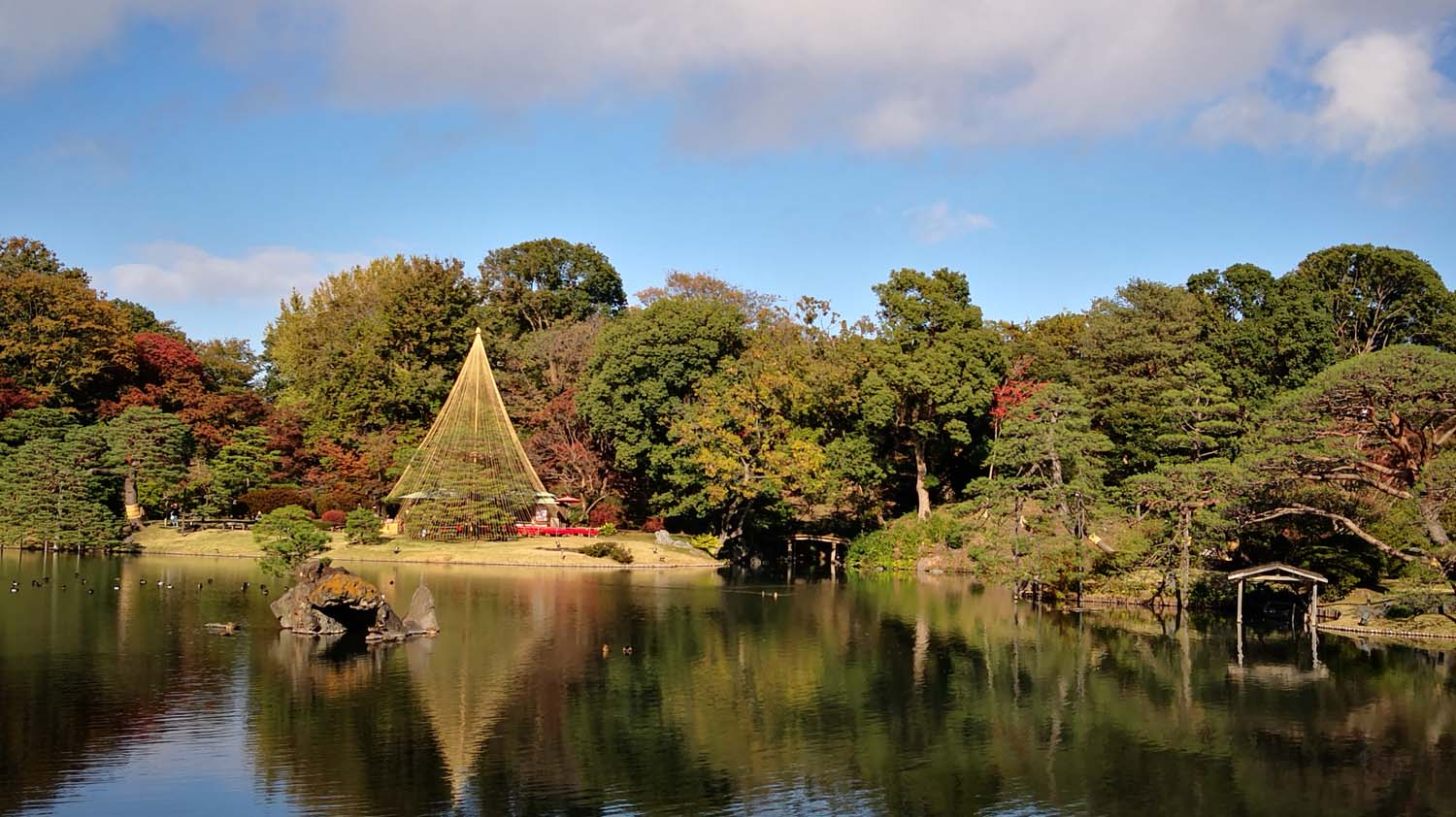 实景市政素材